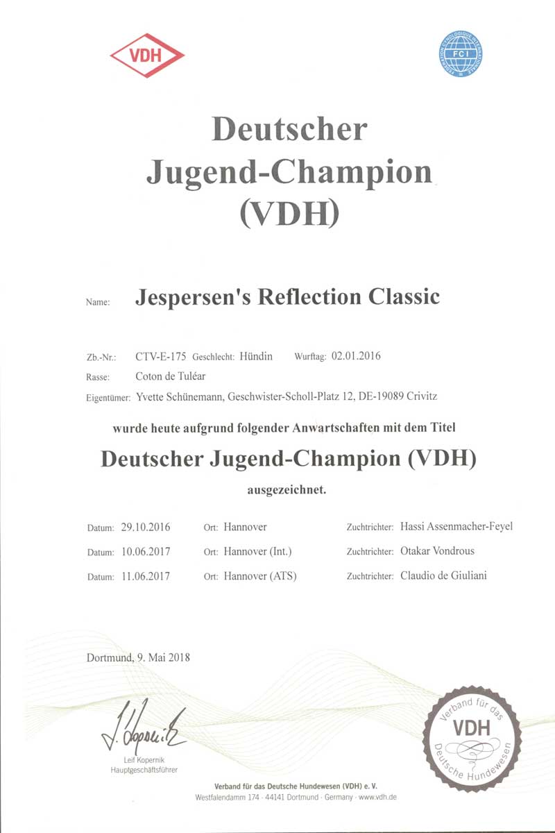 Kaya-Jugend-Champion-VDH.jpg Kaya-Jugend-Champion-VDH.jpg