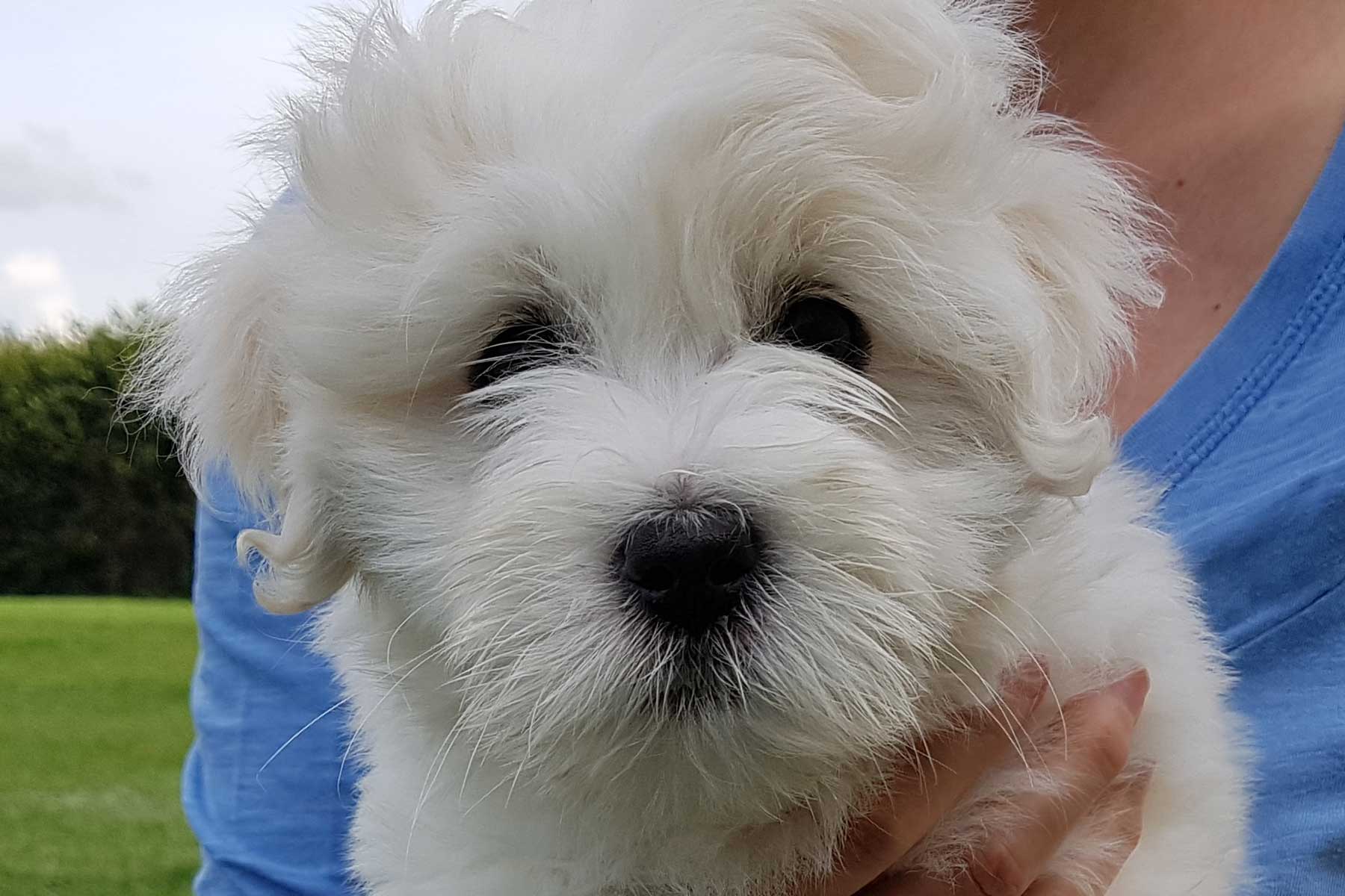 CottonCrewHitchcock_20200830_164207.jpg CottonCrewHitchcock_20200830_164207.jpg