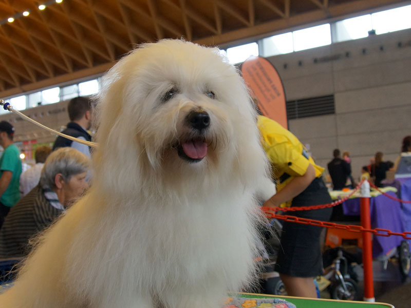 DSC07964.jpg DSC07964.jpg