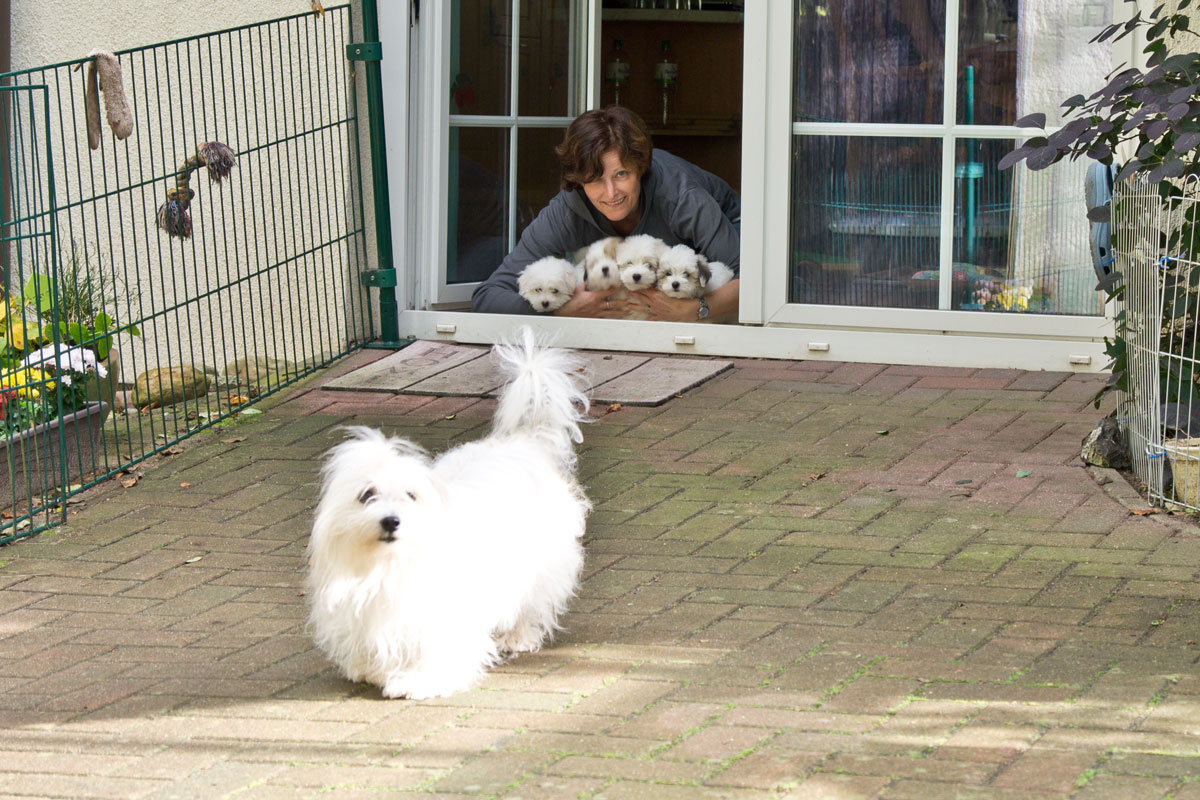 DSC00954.jpg DSC00954.jpg