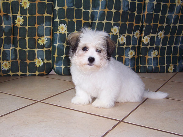 100_7416.jpg 100_7416.jpg