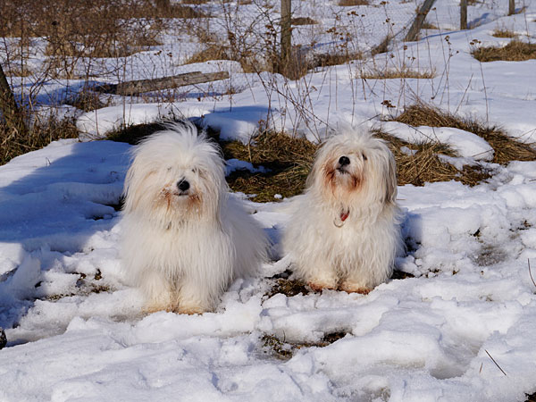 DSC0496.jpg DSC0496.jpg