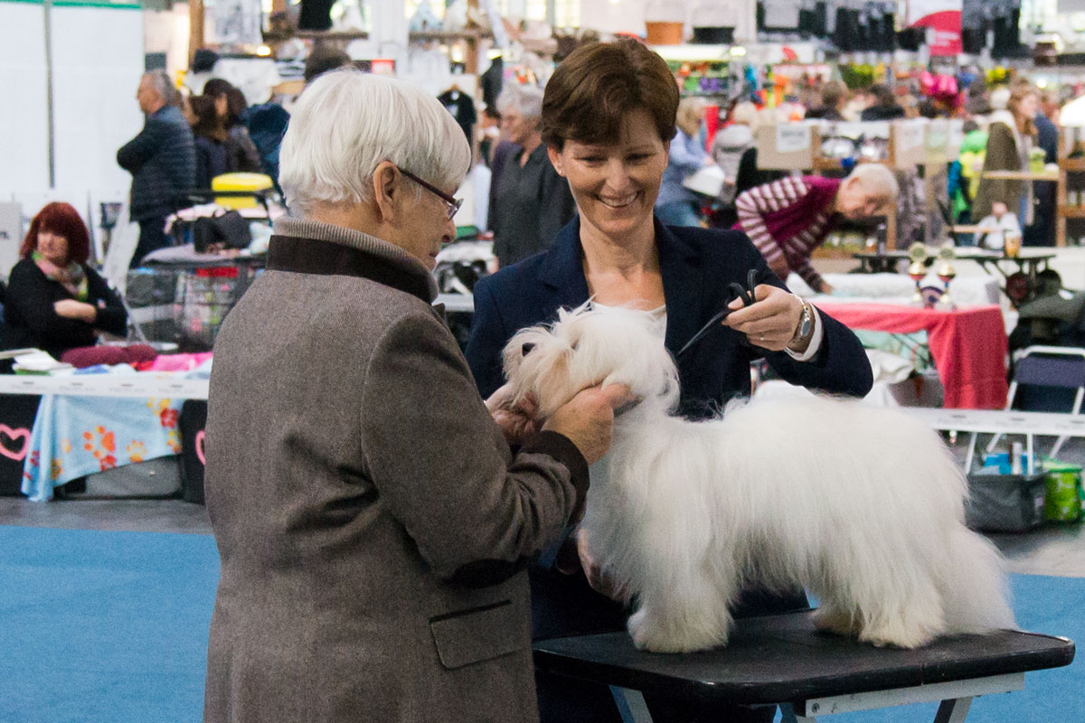 Kaya3154.jpg Kaya3154.jpg