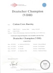 Barcley-Champion-VDH.jpg