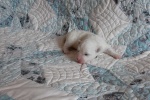 20190602_120607_Cotton Crew Gary.jpg