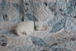 20190602_120635_Cotton Crew Gary.jpg