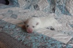 20190602_120713_Cotton Crew Gary.jpg