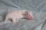 CottonCrewHitchcock-20200705_124722.jpg