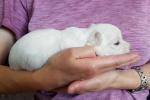 CottonCrewHarley_20200718_090858.jpg