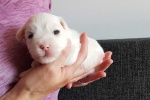 CottonCrewHetty_20200718_090449.jpg