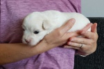 CottonCrewHitchcock_20200718_091206.jpg