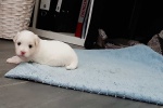 20200722_173151.jpg