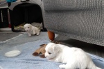 20200727_164429.jpg