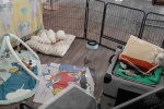 20200801_160902.jpg