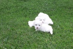 20200802_154223.jpg