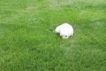 20200802_154813.jpg