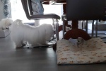 20200805_163019.jpg