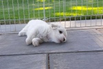 20200805_172905.jpg