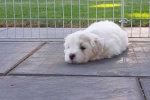 20200805_172923.jpg