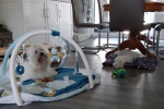 20200807_172844.jpg