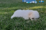 20200813_170405.jpg