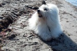 Barcley20200921_141015.jpg