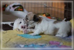 DSC02474.jpg