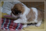 DSC02570.jpg