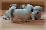 DSC02693.jpg