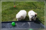 DSC03021.jpg