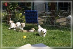 DSC03025.jpg
