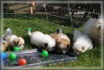 DSC03040.jpg
