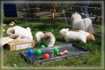 DSC03044.jpg