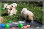 DSC03047.jpg