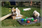 DSC03054.jpg