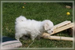 DSC03083.jpg