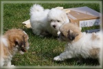 DSC03087.jpg