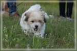 DSC03502.jpg