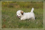 DSC03522.jpg