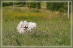 DSC03551.jpg