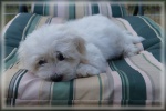 DSC03797.jpg