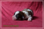 DSC01244.jpg