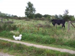 100_7887.jpg