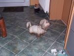 100_7890.jpg