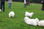 100_8811.jpg