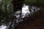 100_8828.jpg