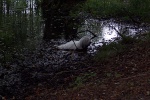 100_8829.jpg