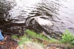 100_8835.jpg