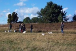 100_0635.jpg