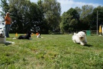 DSC06371.jpg